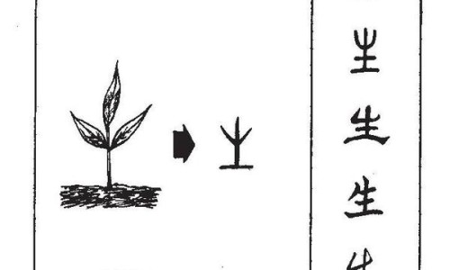 葛根与葛粉有啥区别-【粉葛根与葛根的区别】葛粉与葛根区别 - 葛根 粉葛 区别网